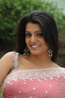 Tashu Kaushik Saree Photos
